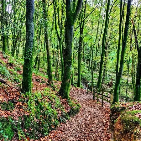 Apartament Mariners Rest One Bedroom In Innishannon Village *